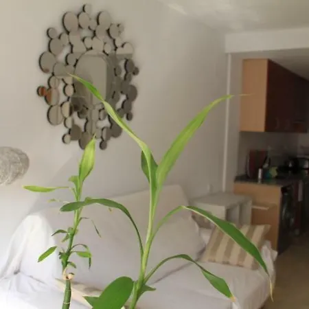 Sunny Apartments, Centre Apartment