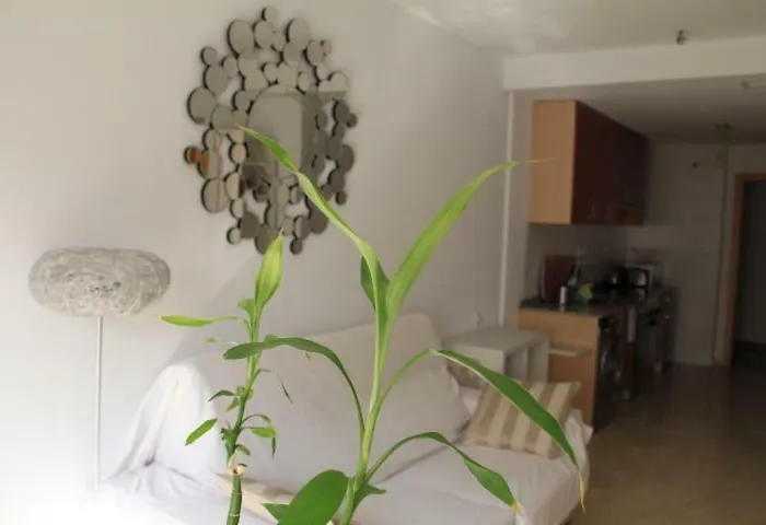 Sunny Apartments, Centre Apartment